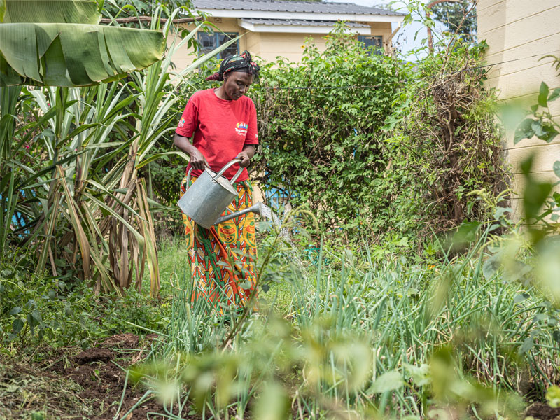 Climate - A just transition for Africa.