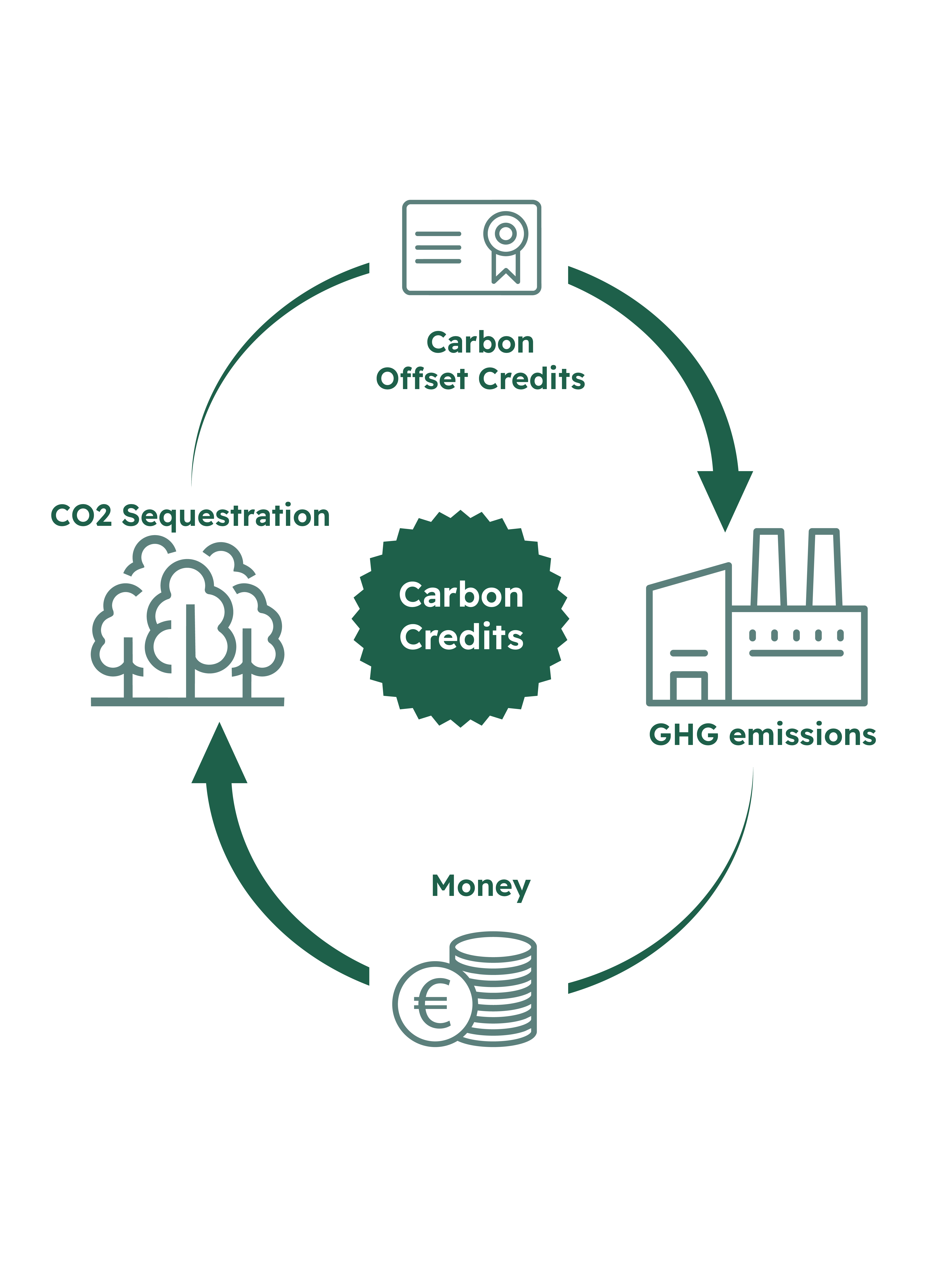 Infographic van de carboncreditcyclus waarbij bedrijven CO₂-uitstoot compenseren via carbon credits en projecten voor CO₂-opslag