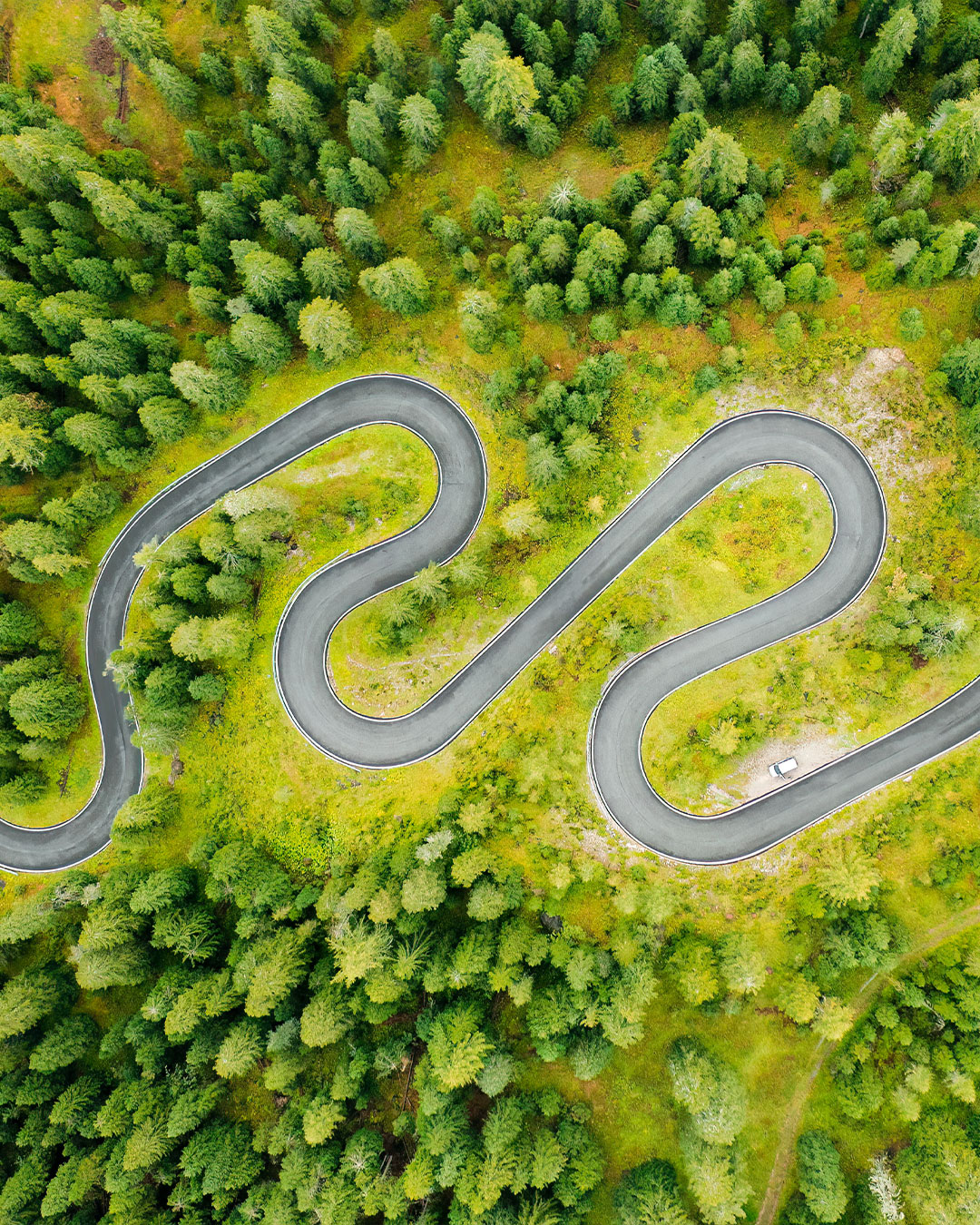 Kronkelende weg door een groen bos als symbool voor een stapsgewijze duurzaamheidsroadmap voor bedrijven
