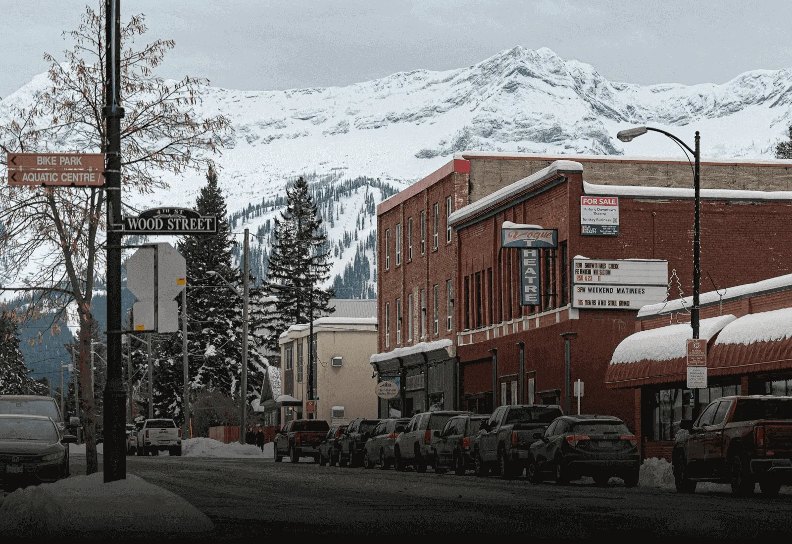 fernie bc houses for sale