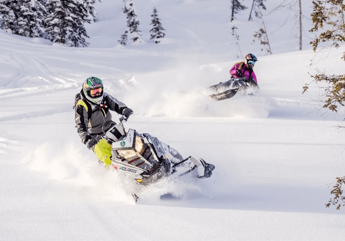 fernie snowmobile tours
