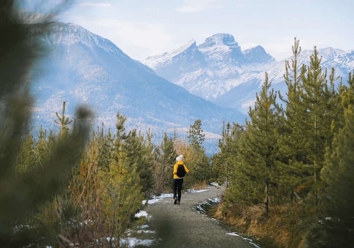 fernie mountain resort