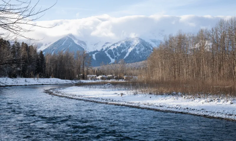 Currie Creek vision and mission