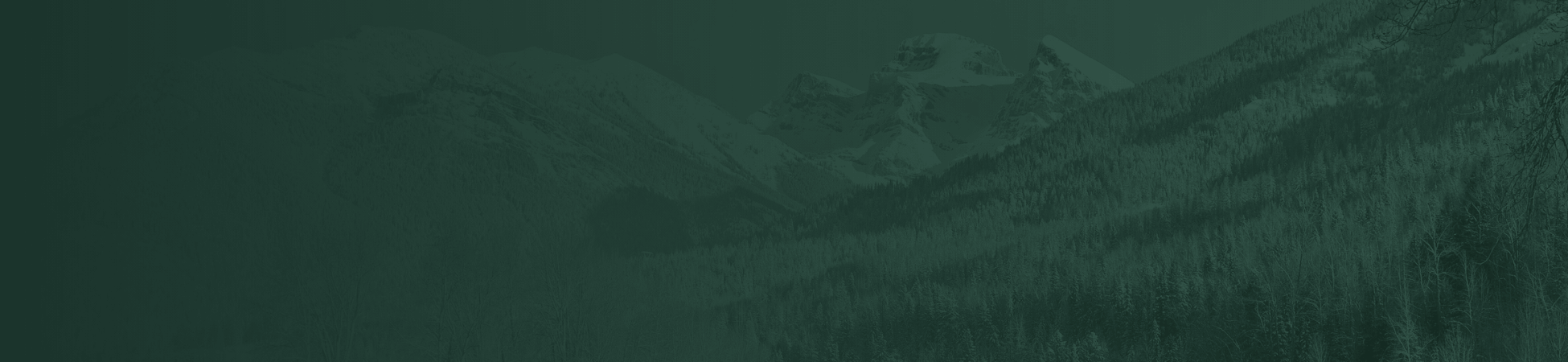 real estate fernie bc