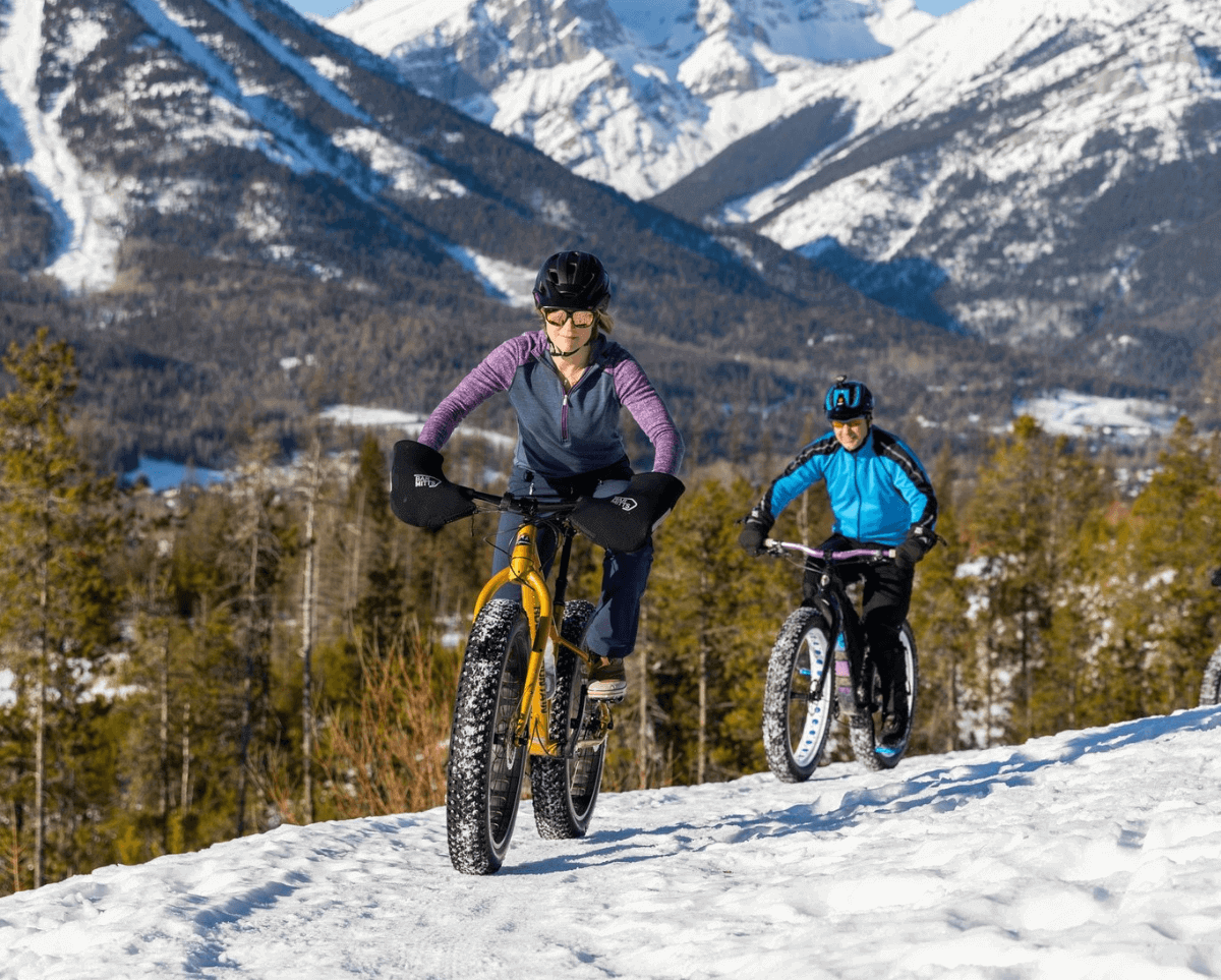 Ample Storage For Alpine Living