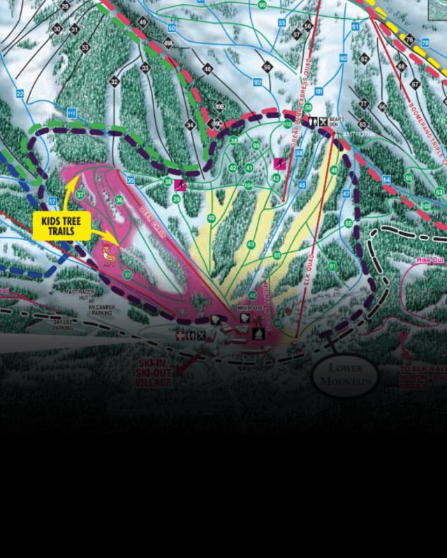 Fernie Trails & Lifts