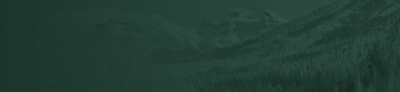 Fernie Alpine Resort