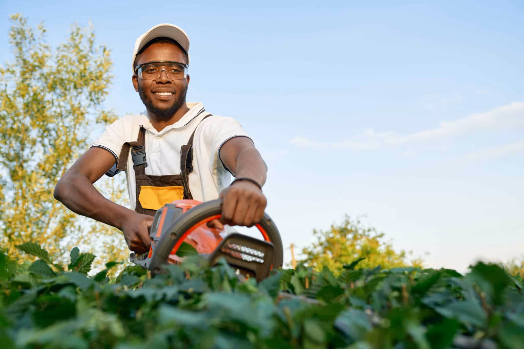 Landscaping & Lawn Care Postcard Ideas For Direct Mail