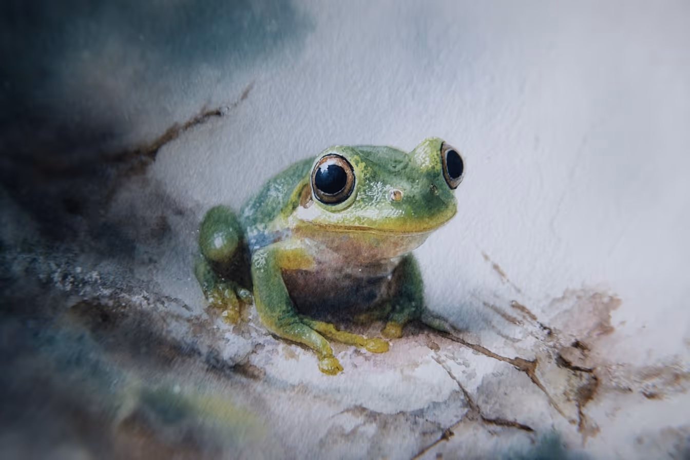 Ilustrace žabičky ve volné přírodě