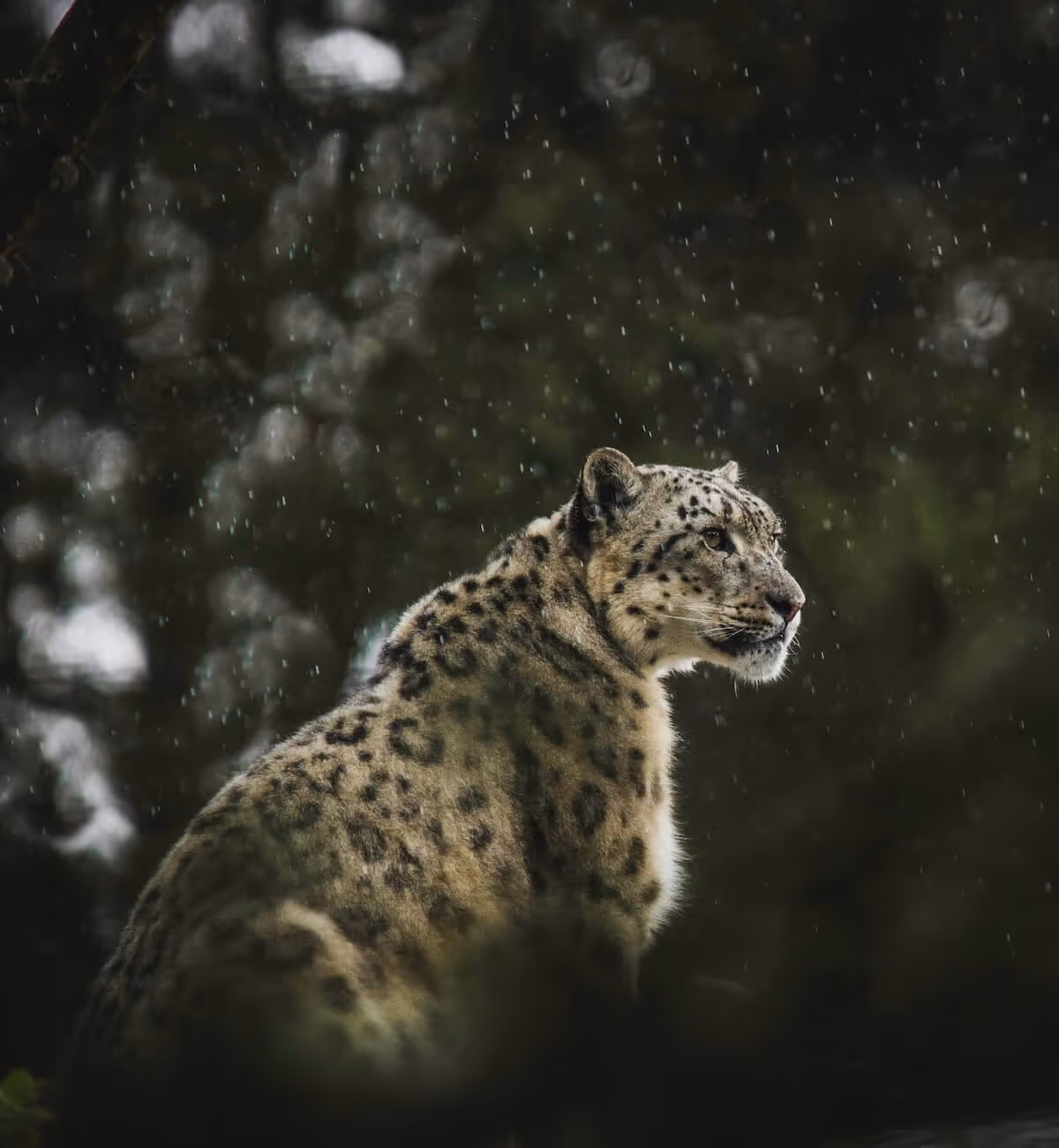 Setkání na úrovni duše, kde může přijít smíření, pochopení i tiché rozloučení.