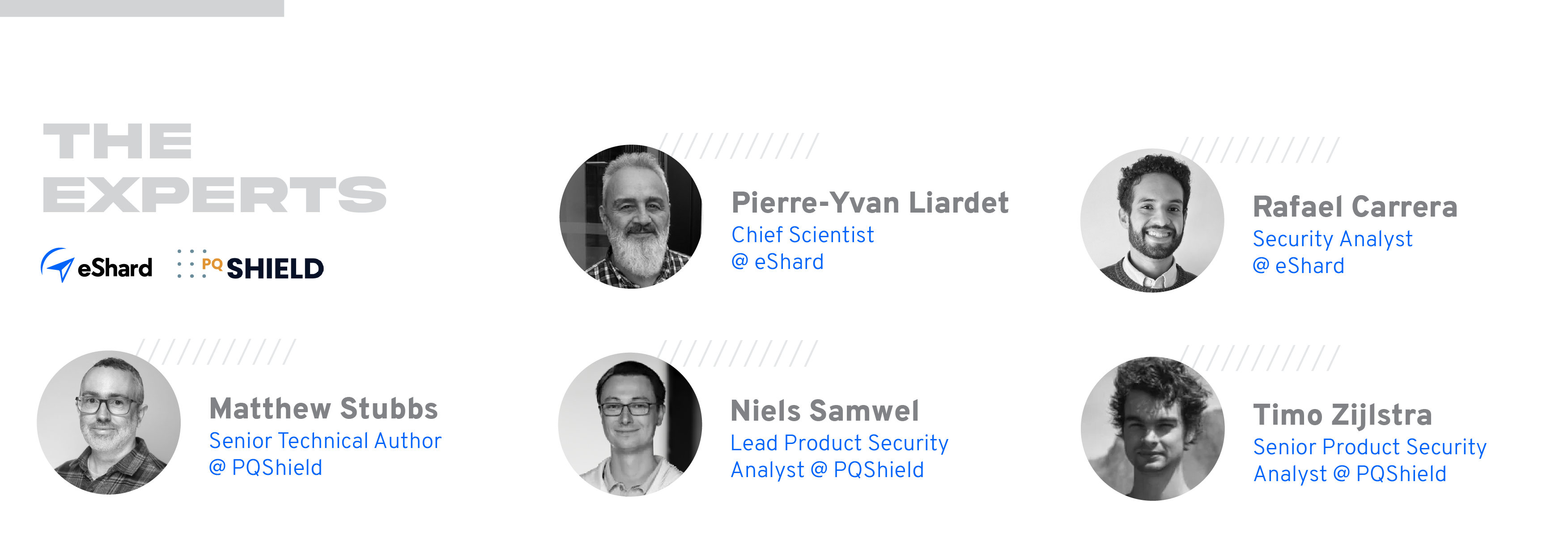 Hedged Dilithium Dis-Faulting | Expert Review #6