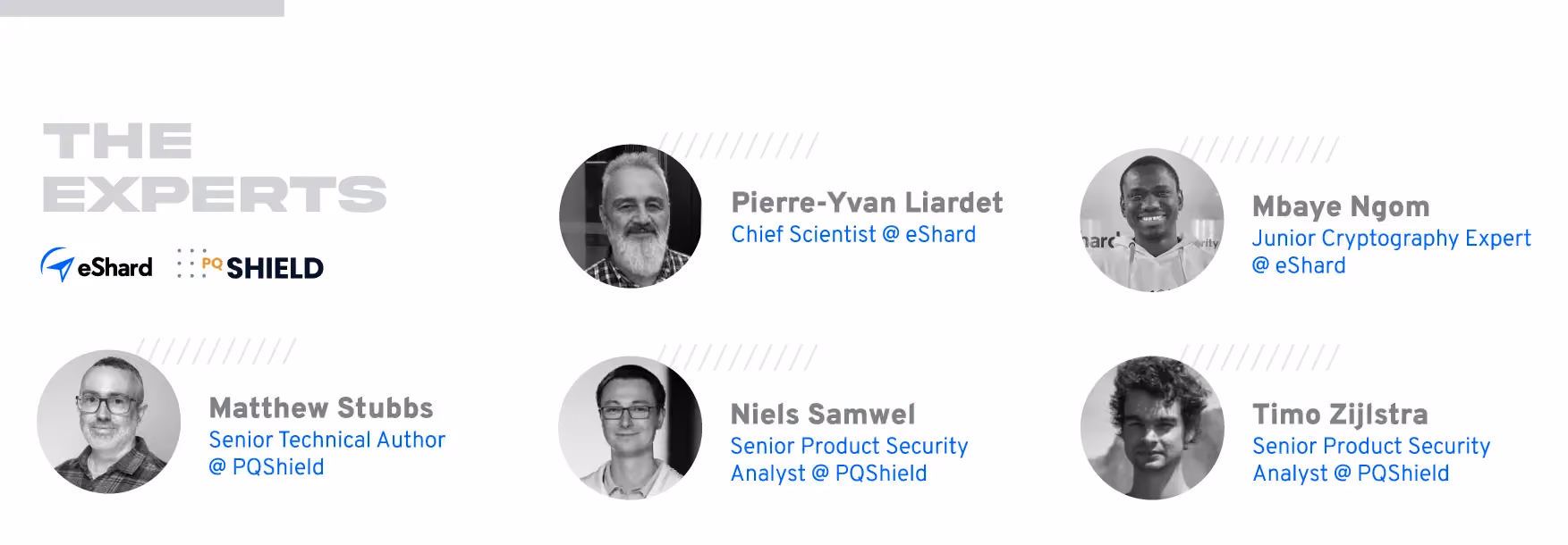 Expert-review-4-eShard-PQShield-experts.gif