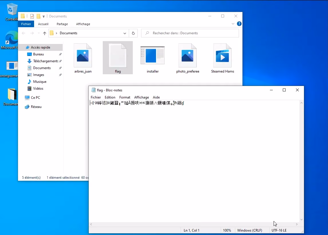 wrongsomewhere - victim's flag file.png