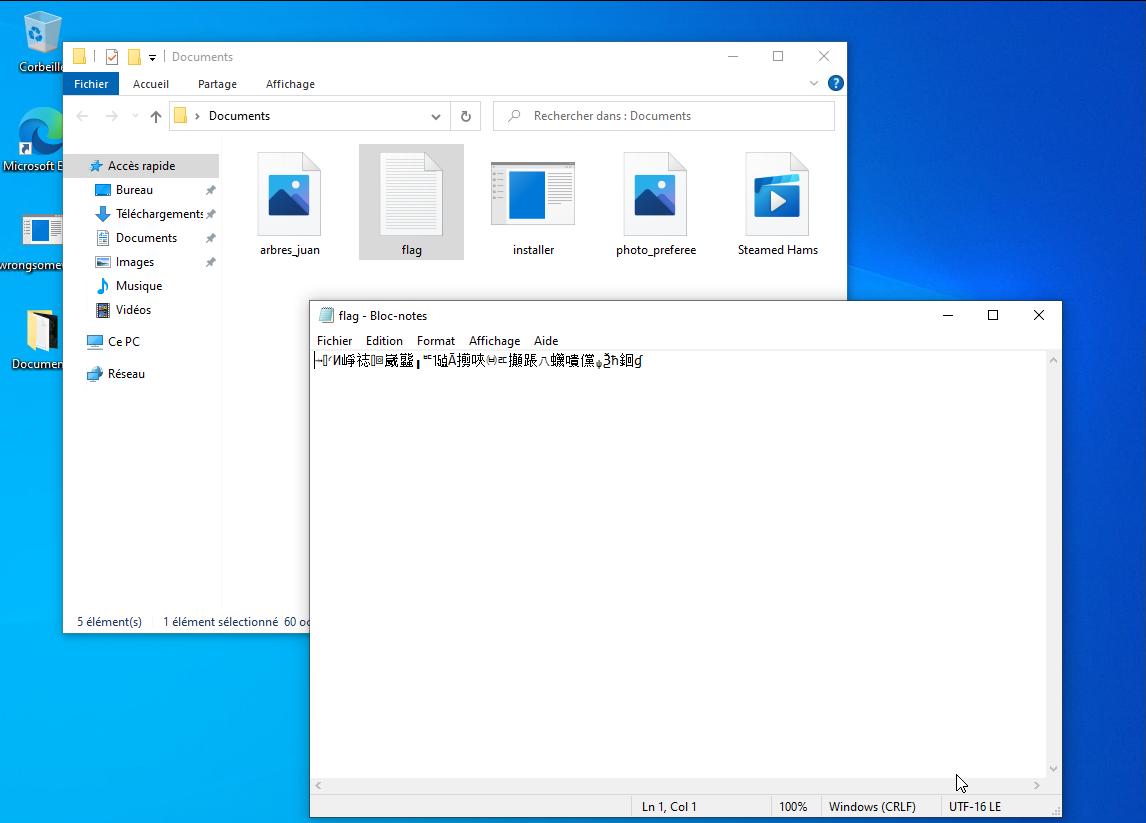 wrongsomewhere - victim's flag file.png