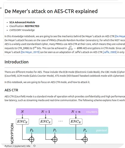 Advanced Side-Channel Analysis image 1