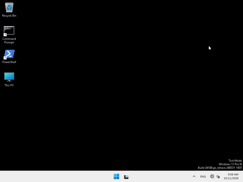 The VM desktop before the transfer