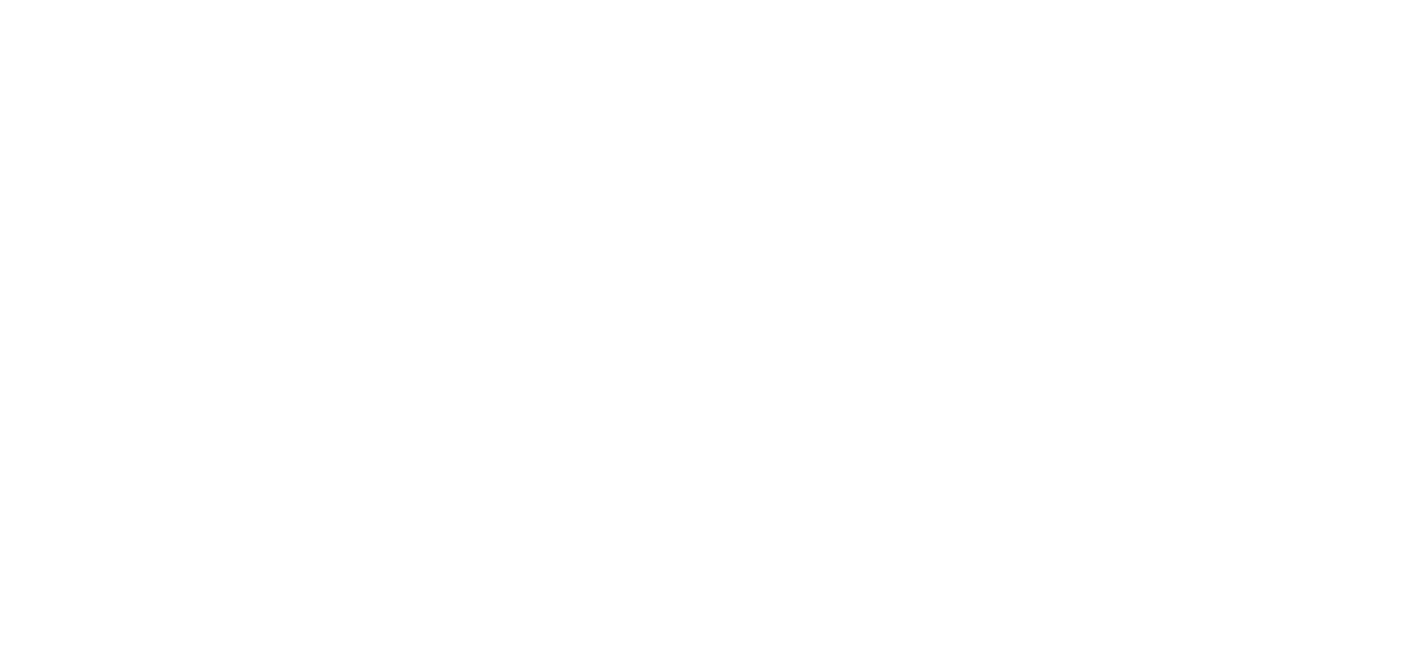 hino support