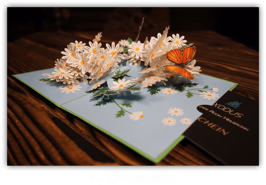 Pop-Up Karte: Gänseblümchen mit Schmetterling
