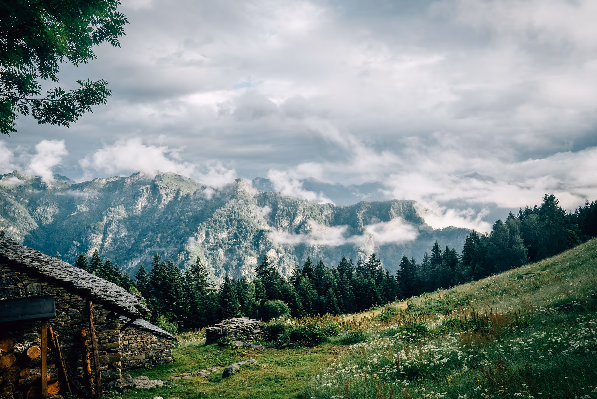 Mountain landscape with dense pine forest, green grassy meadow, old stone cabin with wood logs, and misty clouds hanging low around rocky peaks under a cloudy sky.