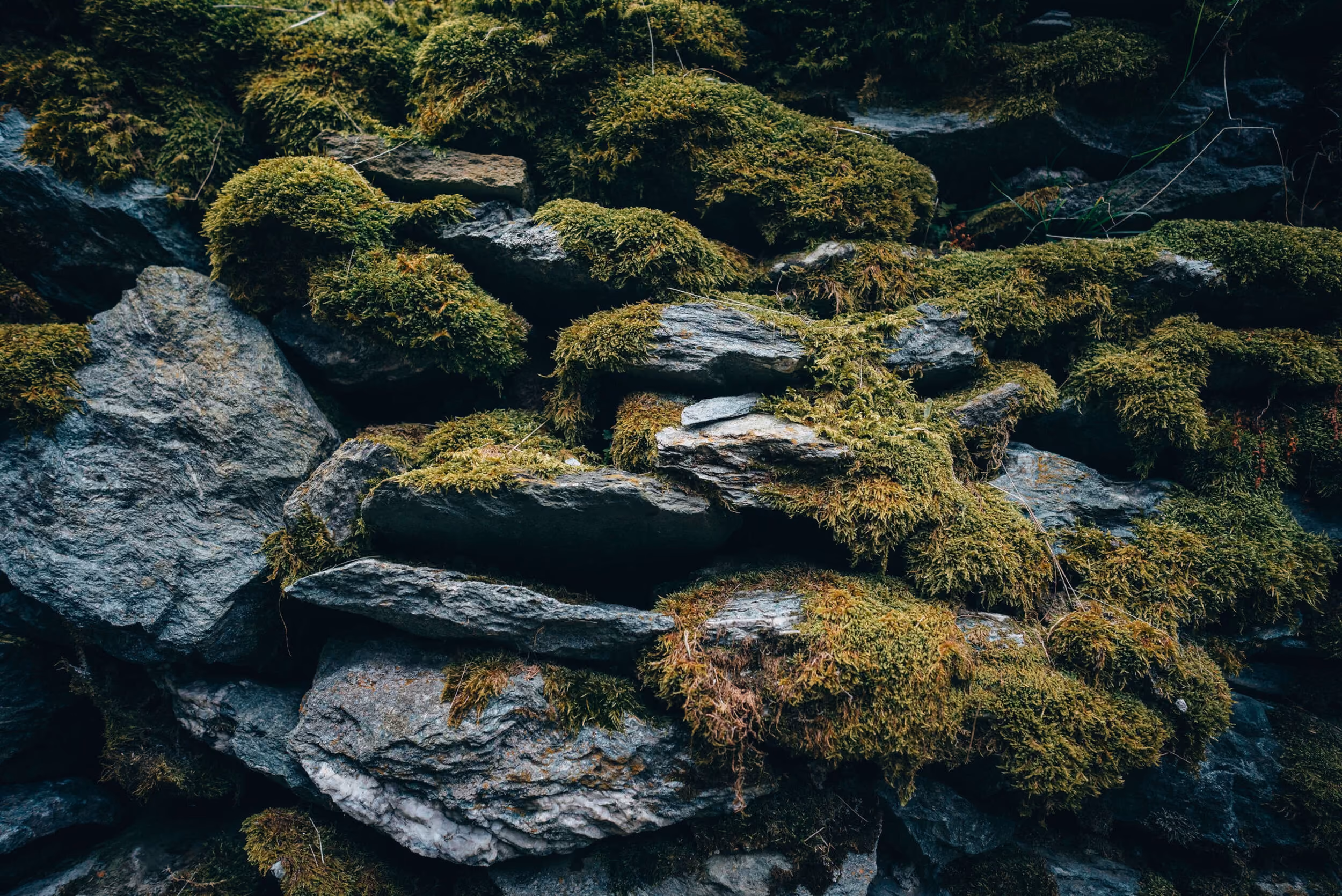 Close-up of gray stones covered in thick green moss, arranged in a natural, layered formation.