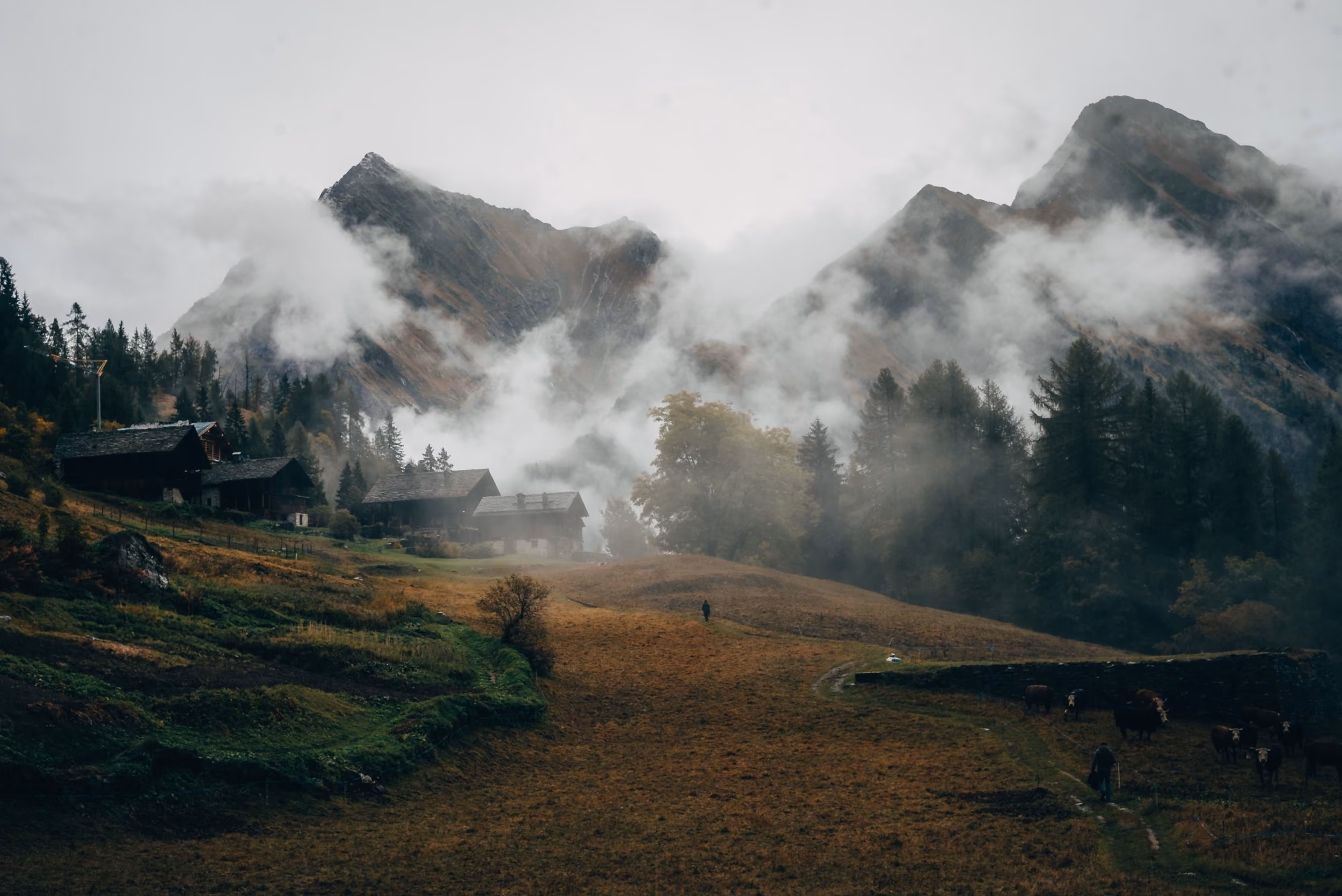 Foggy valley with scattered rustic houses, pine trees, grazing cows, a walking person, and steep mountain peaks partially covered by clouds.