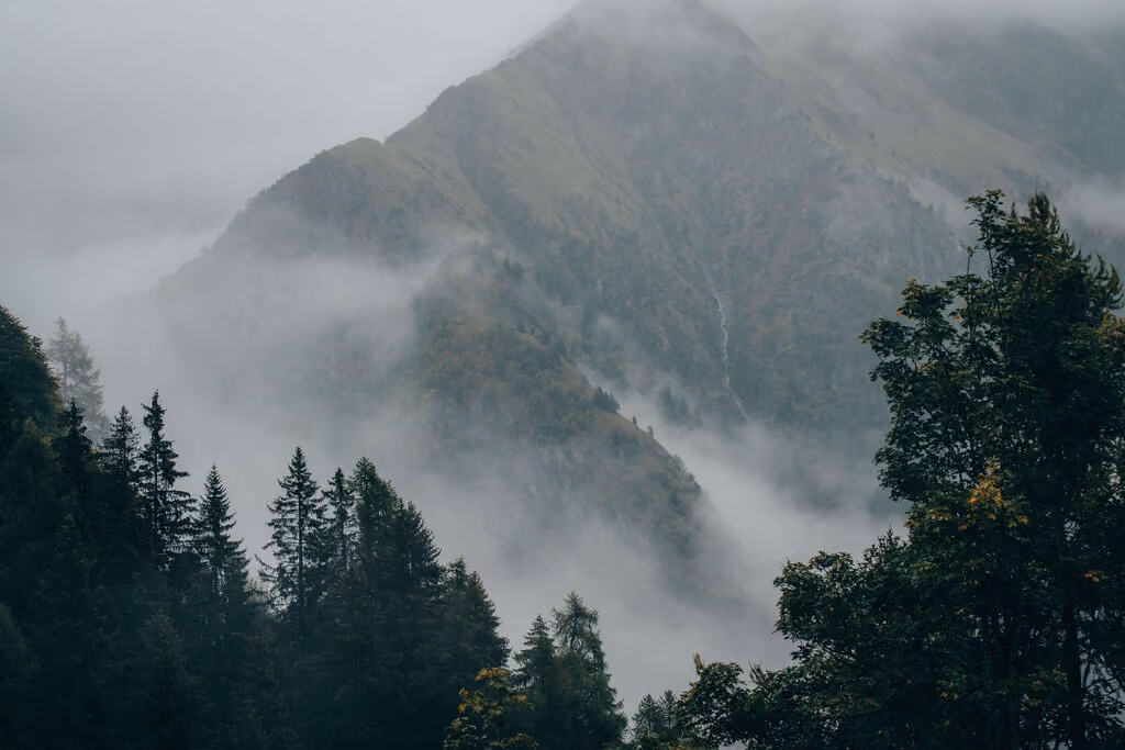 Fog enveloping a forest of evergreen and deciduous trees at the base of a steep, rocky mountain.