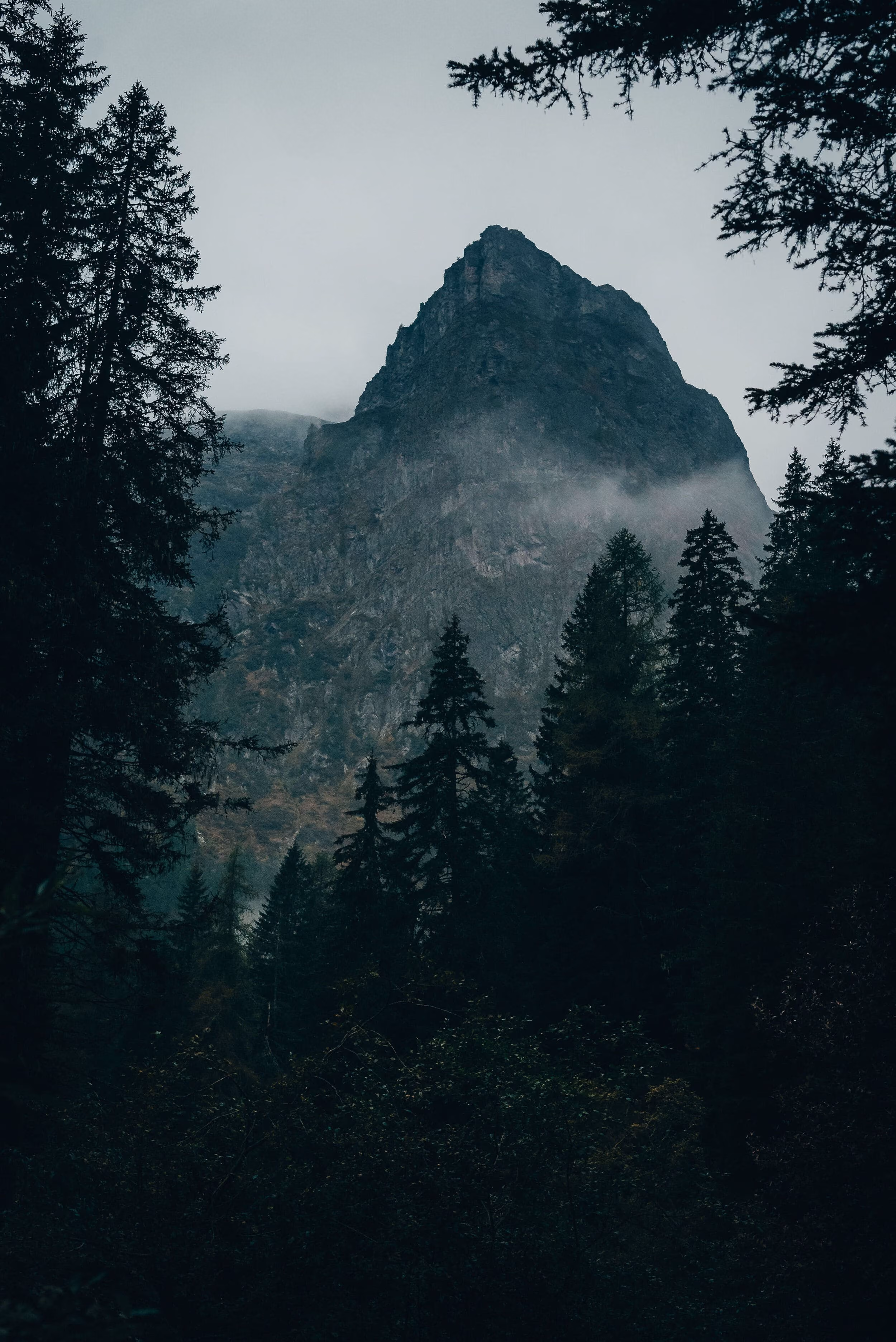 Tall, rugged mountain peak surrounded by dense dark evergreen trees with mist or fog hovering near the base under an overcast sky.