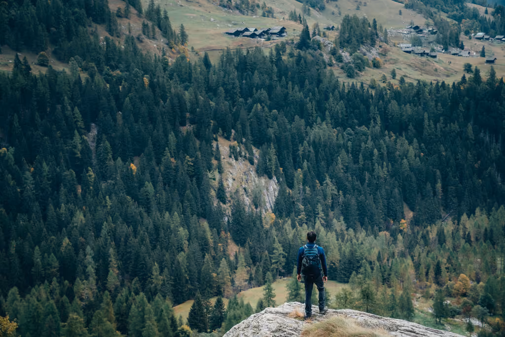 Person with a backpack standing on a rock overlooking a dense forest valley with scattered houses on the distant hillside.