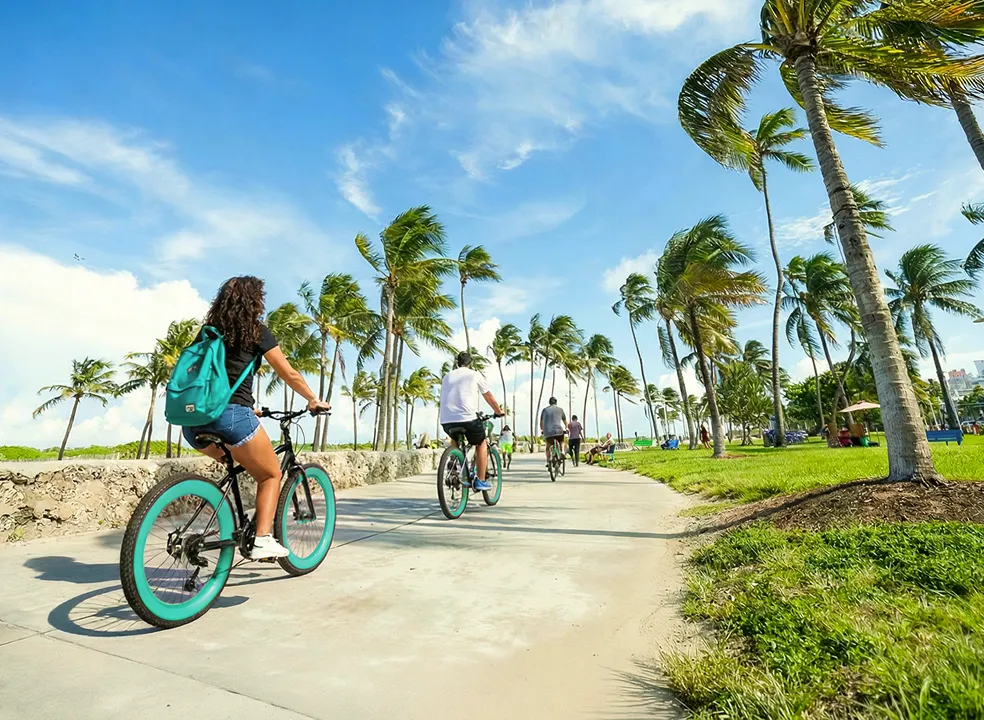 People riding bicycles on a paved path lined with palm trees under a bright blue sky with clouds.