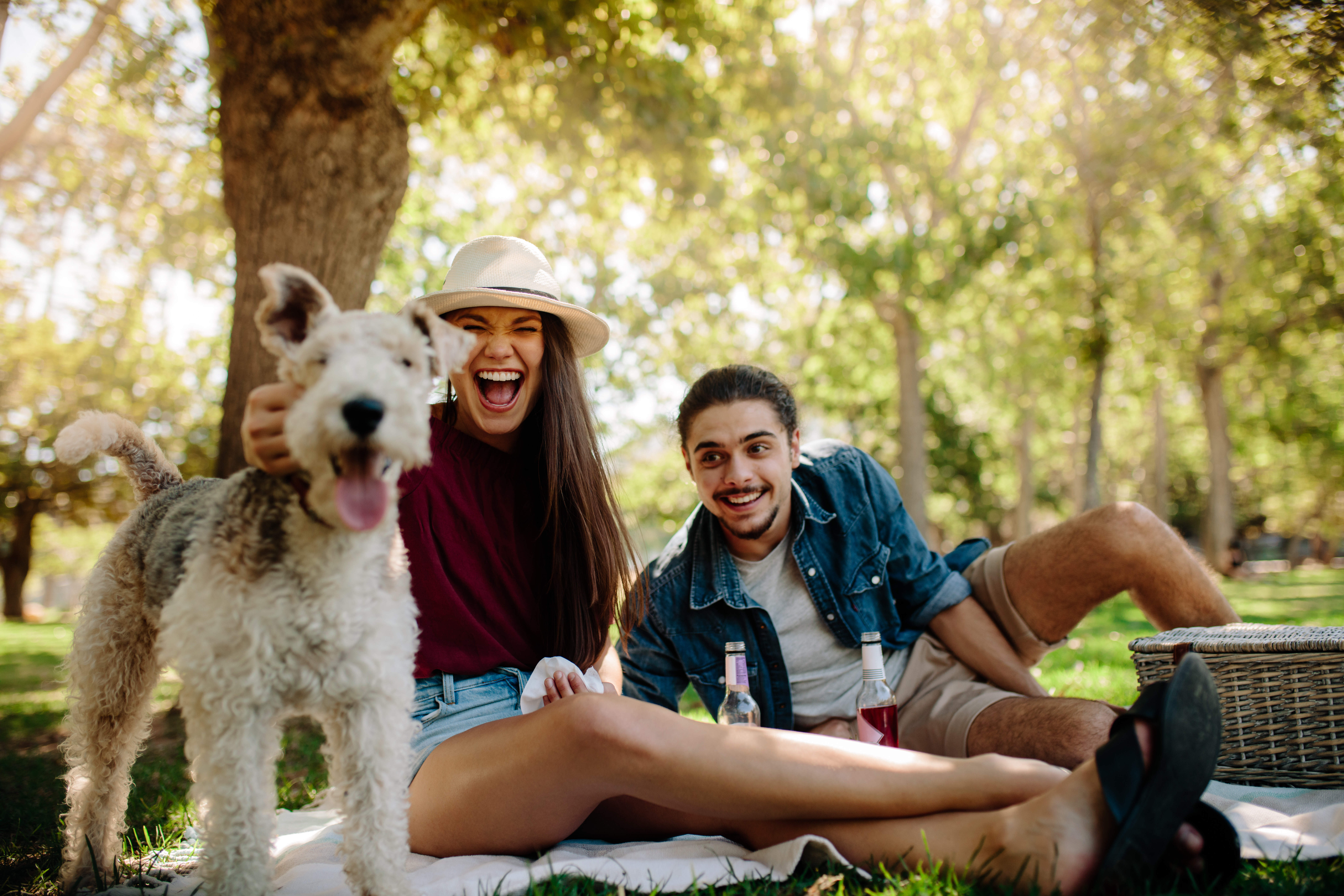couple with dog stock image
