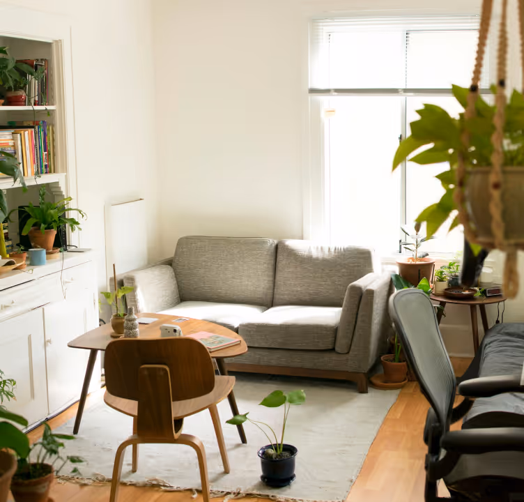 Salon lumineux avec canapé gris, table en bois, chaise en bois courbé et plusieurs plantes vertes en pots.