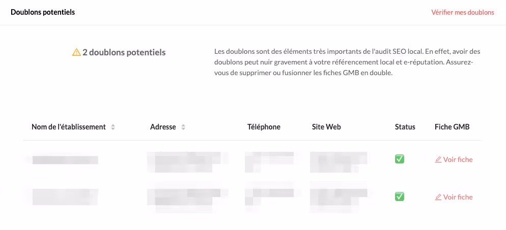 seo local doublons