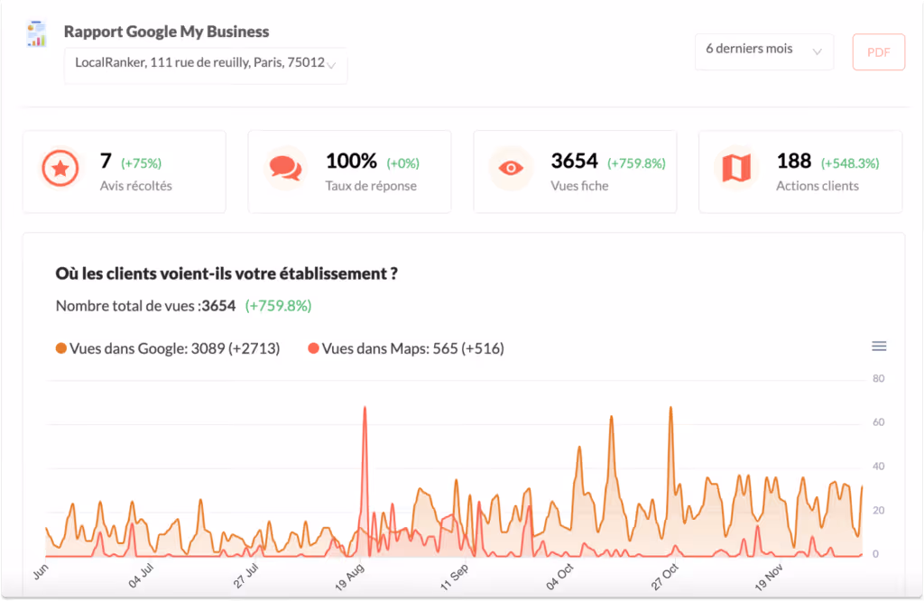 rapports GMB localranker