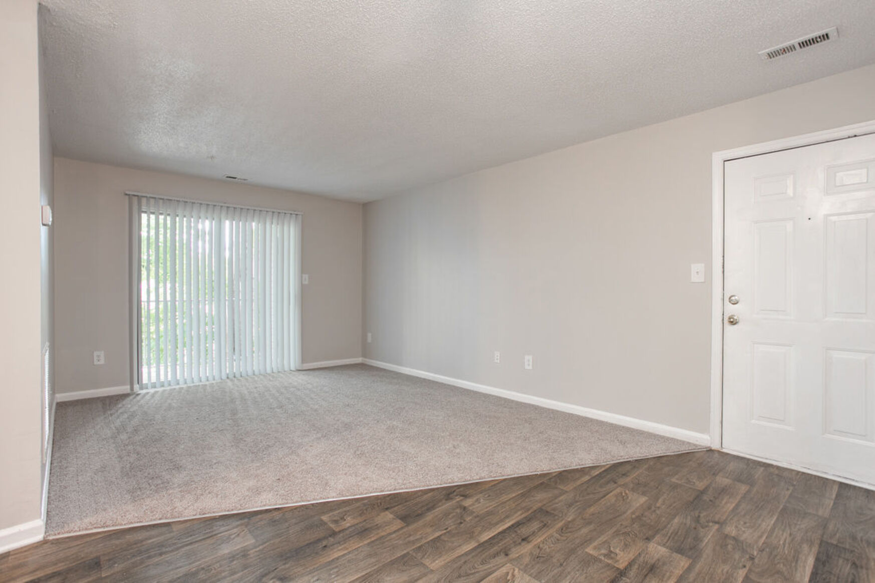 Entrance and living room 