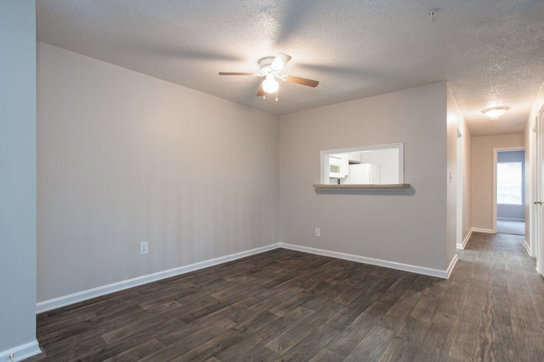 Entrance and living room 