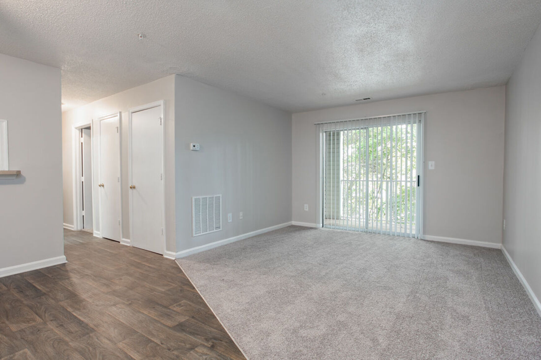 Entrance and living room 