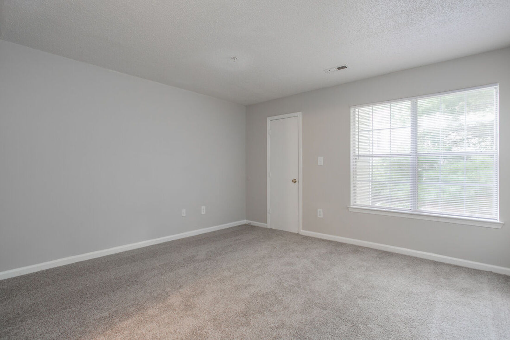 Living room with carpet