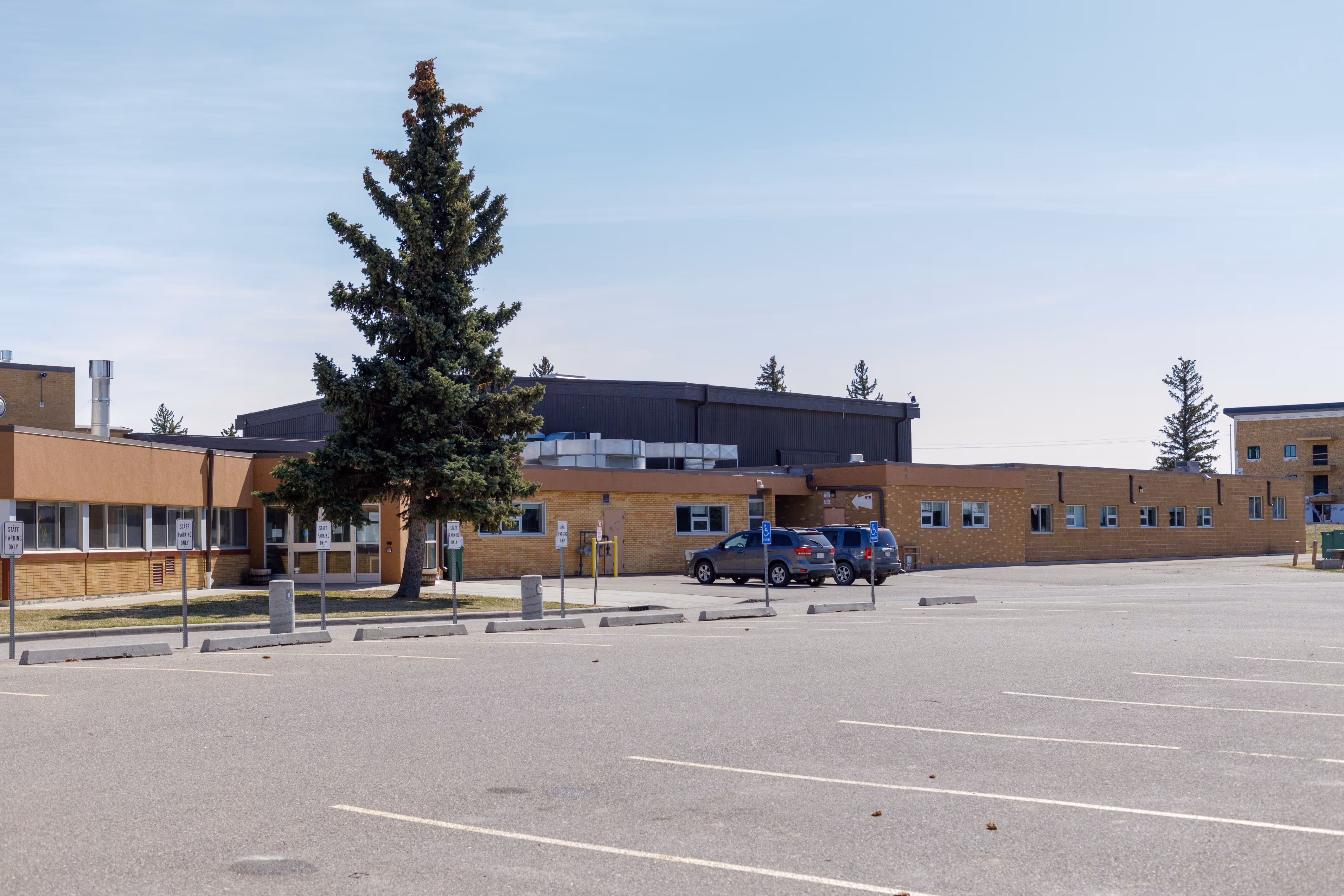 Empty parking lot in front of a single-story brick building with a large evergreen tree near the entrance under a clear sky.