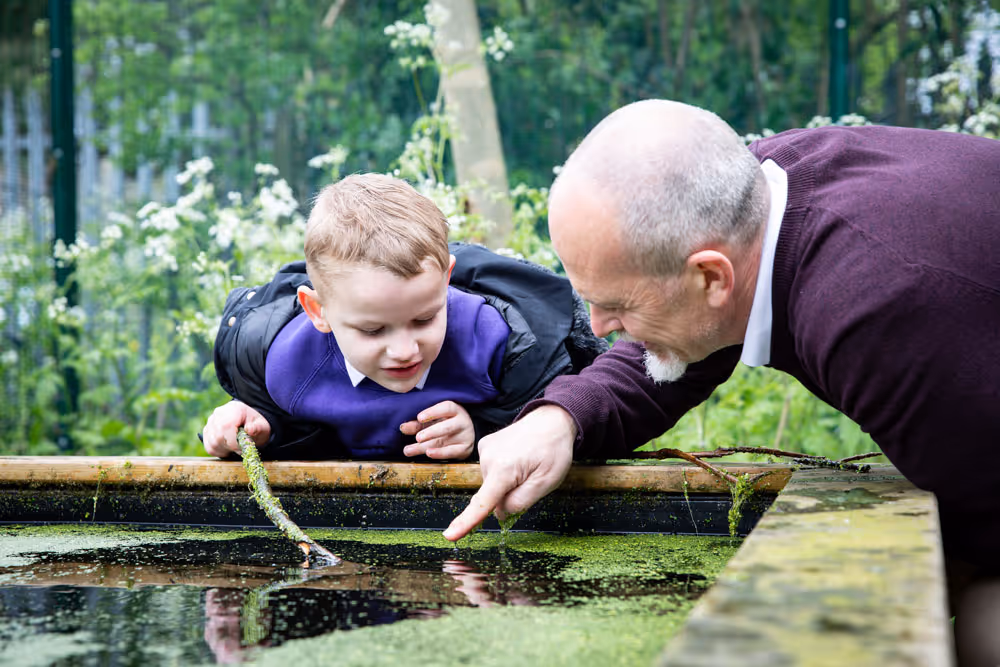 An older man and a young boy leaning over a pond and pointing at something in the water during an outdoor exploration.