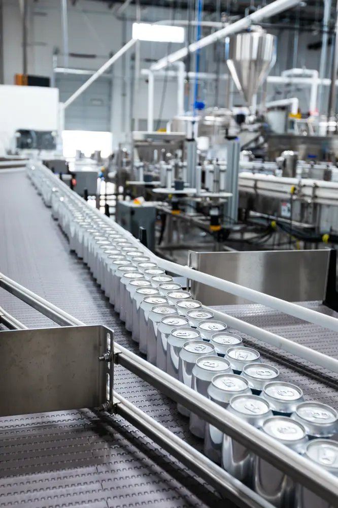 Rows of aluminum cans move along a conveyor belt in a modern beverage manufacturing facility.