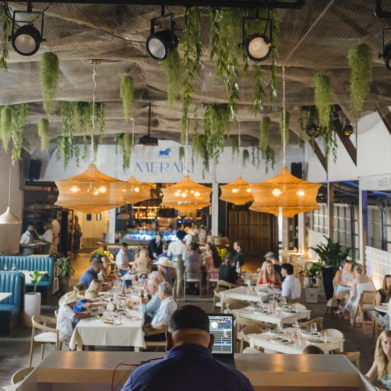 Meraki's main dining room full of guests beneath woven pendants and hanging greenery