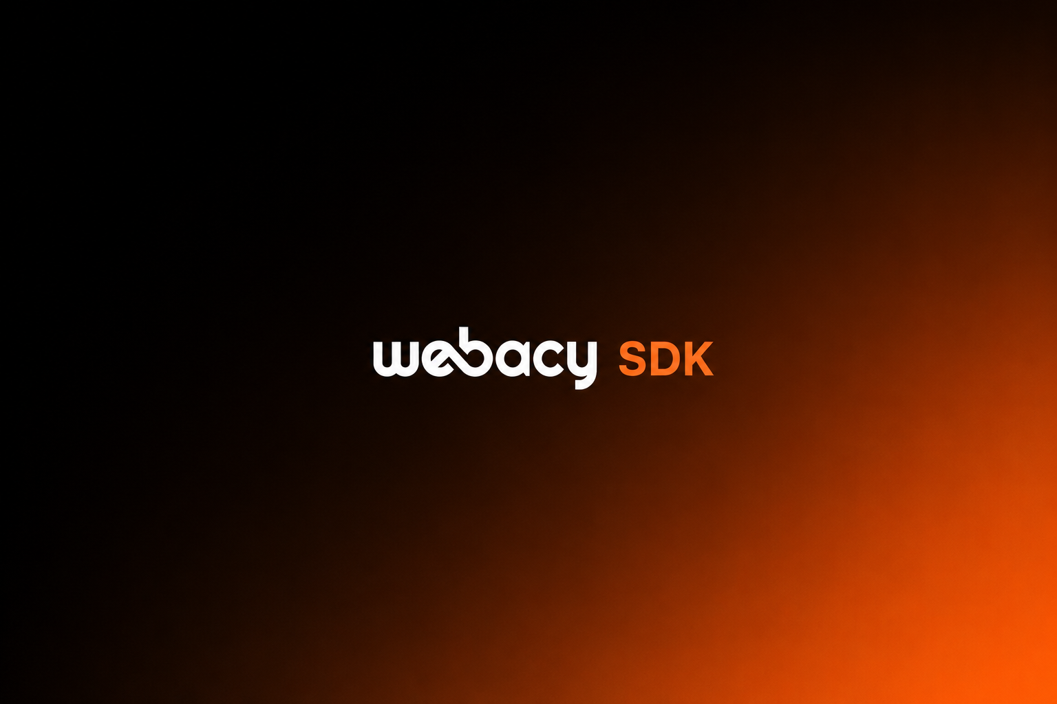 6 Things Developers Can Build Right Now With the Webacy SDK