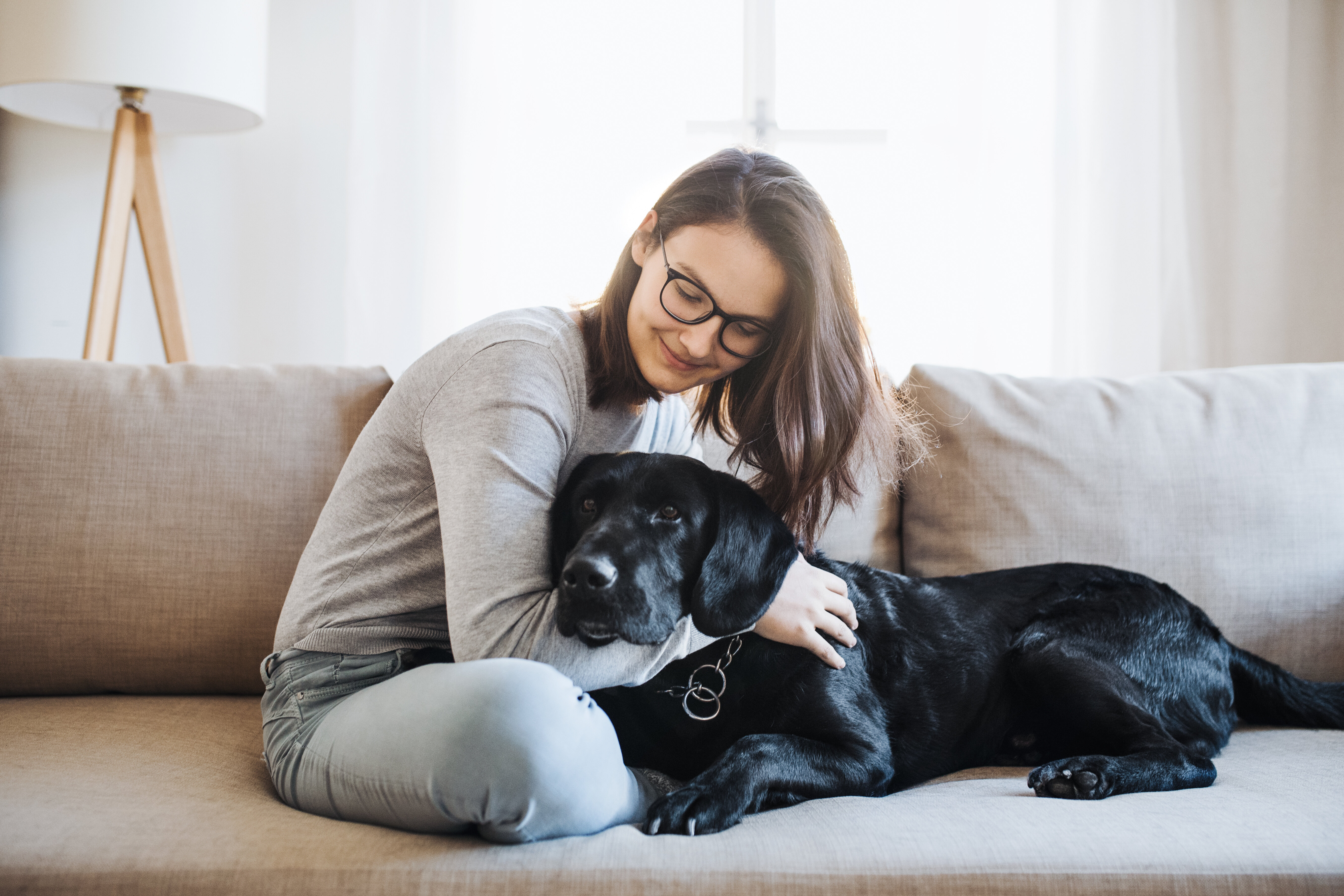 girl with dog stock image