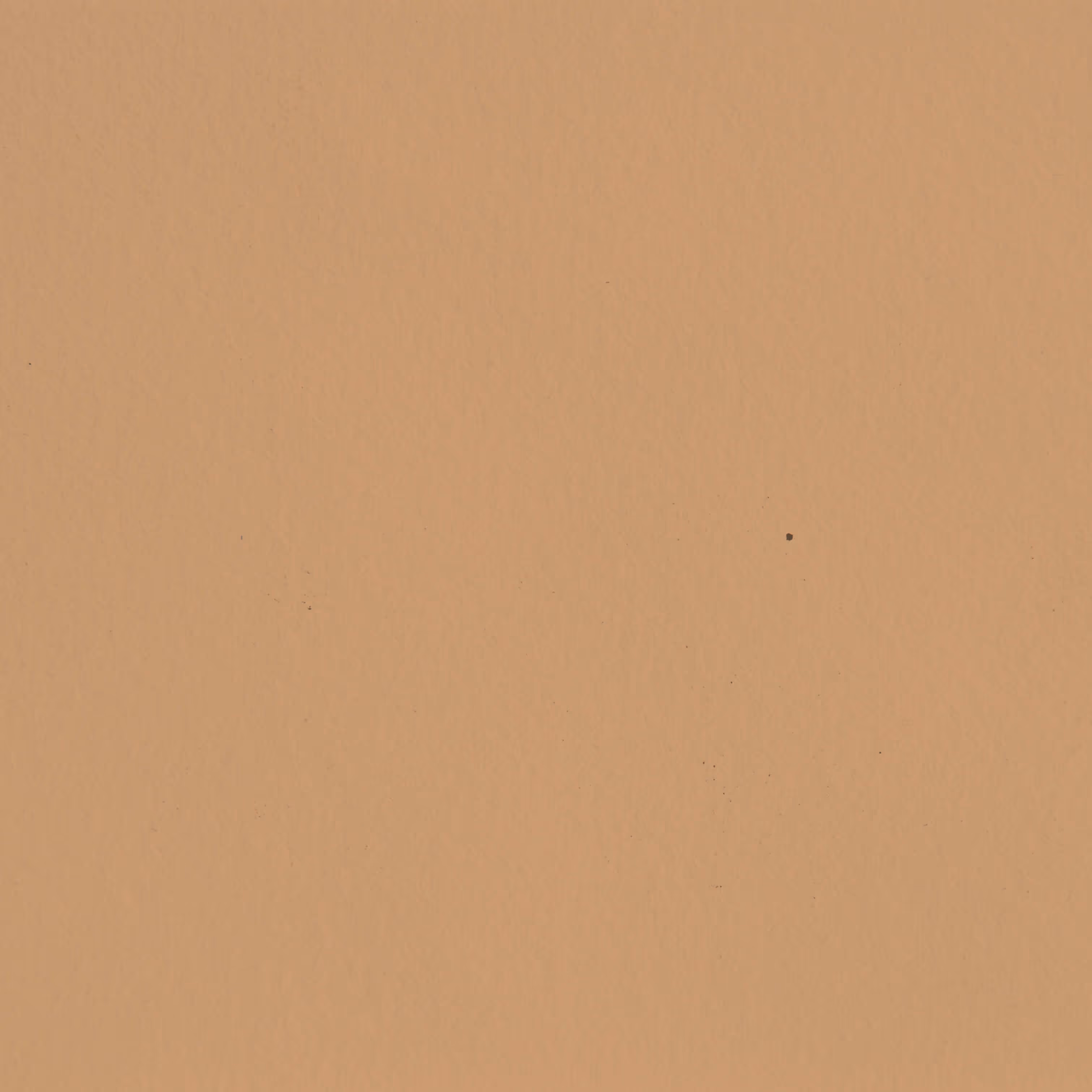 Einfarbiger Hintergrund in Beige mit einer strukturierten Oberfläche.