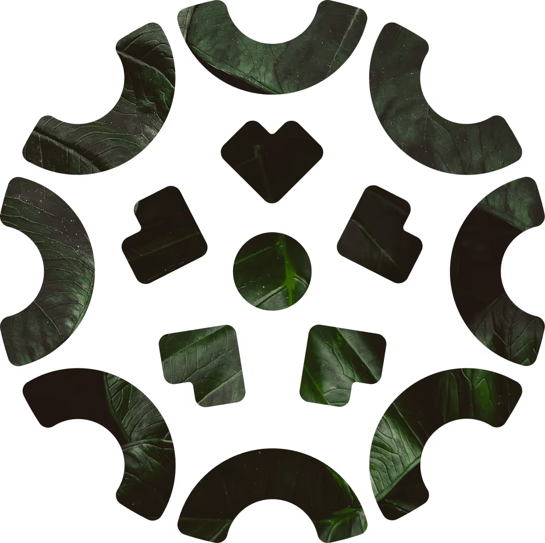 Grünes Blattmuster in einem stilisierten runden Logo mit abstrahierten Blattelementen.