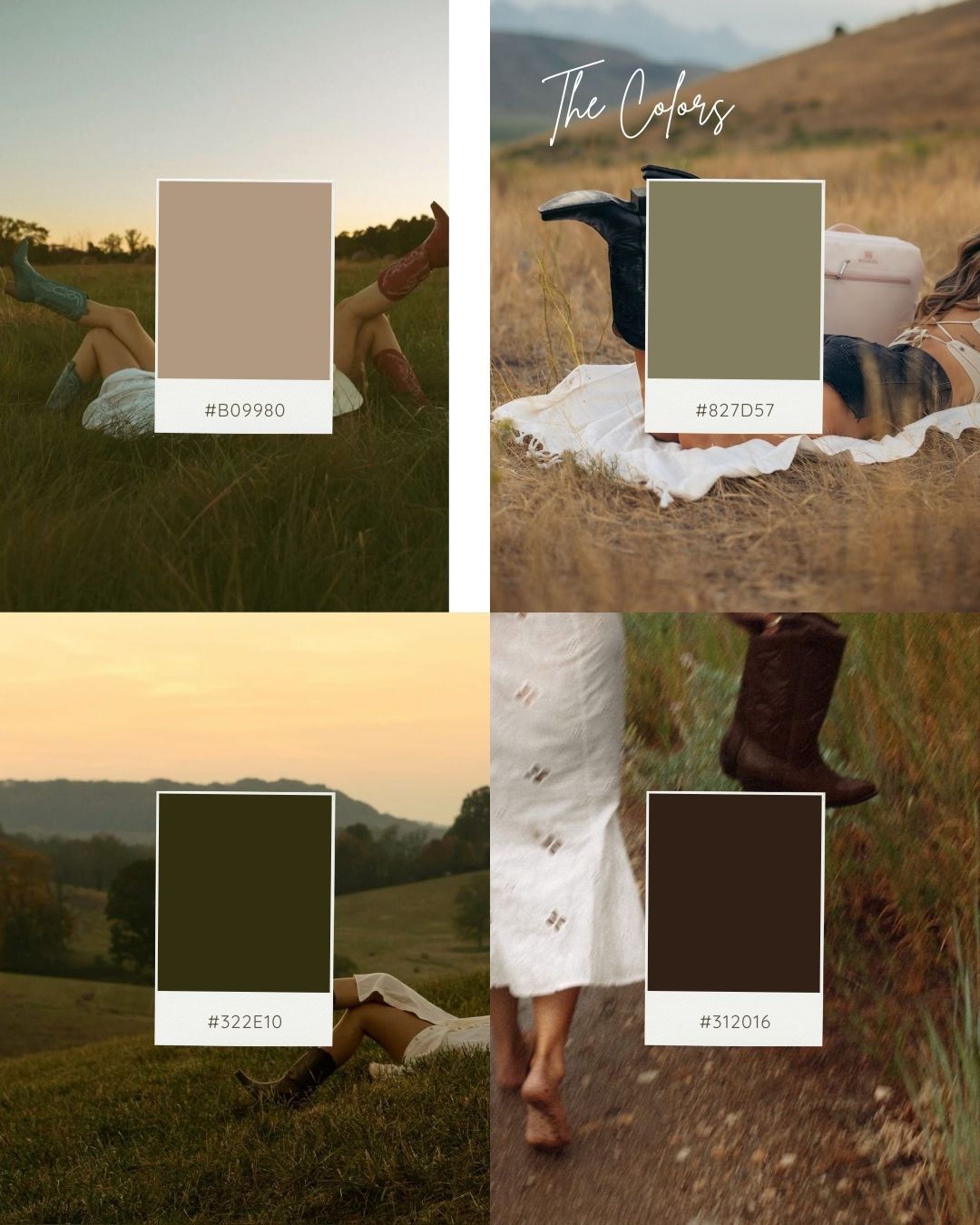 The Colors