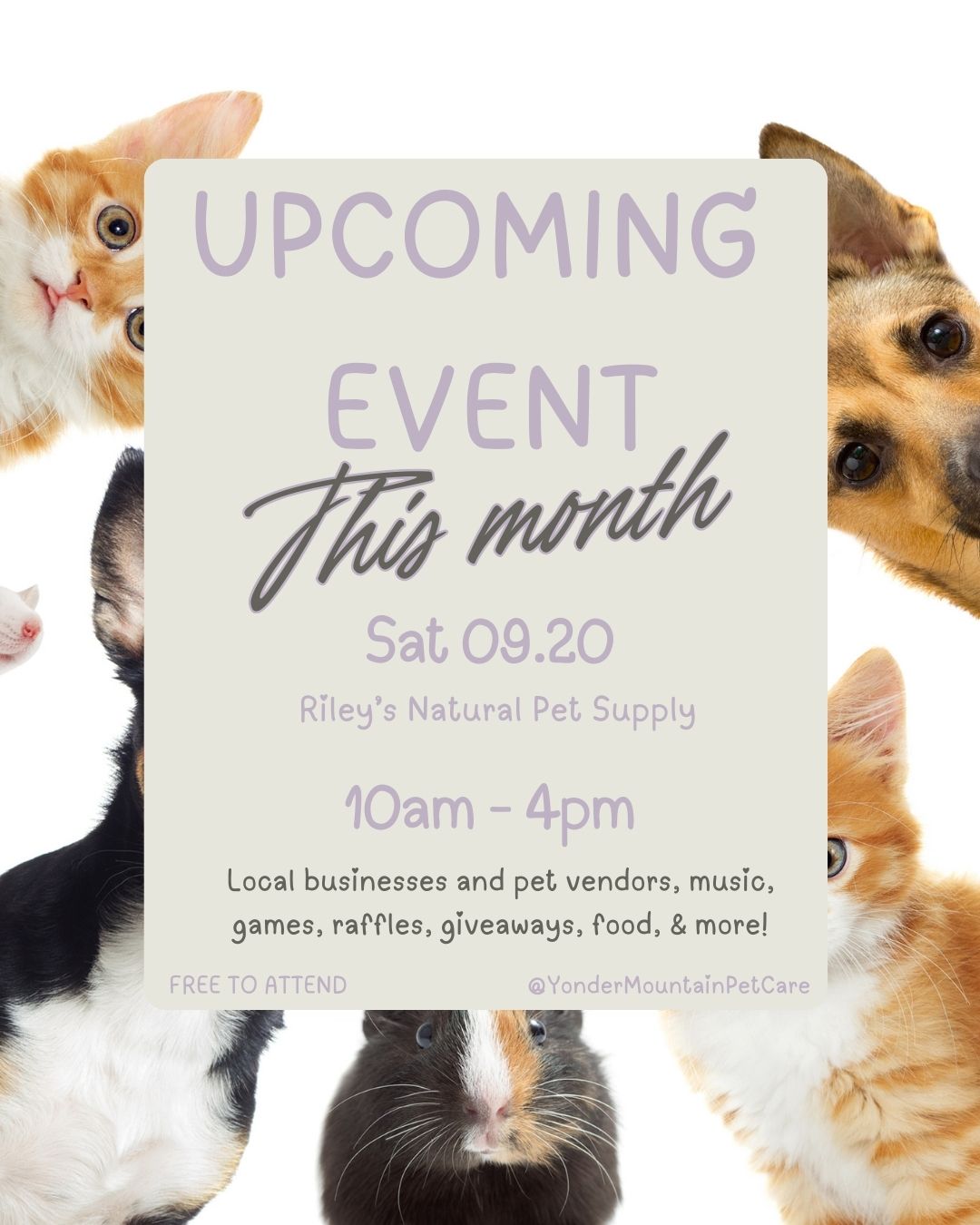 YMPC Upcoming Event graphic