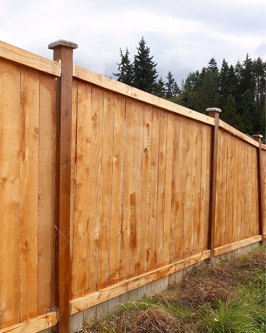 Holzzaun mit vertikalen Brettern und Pfosten vor Tannenwald und bewölktem Himmel.