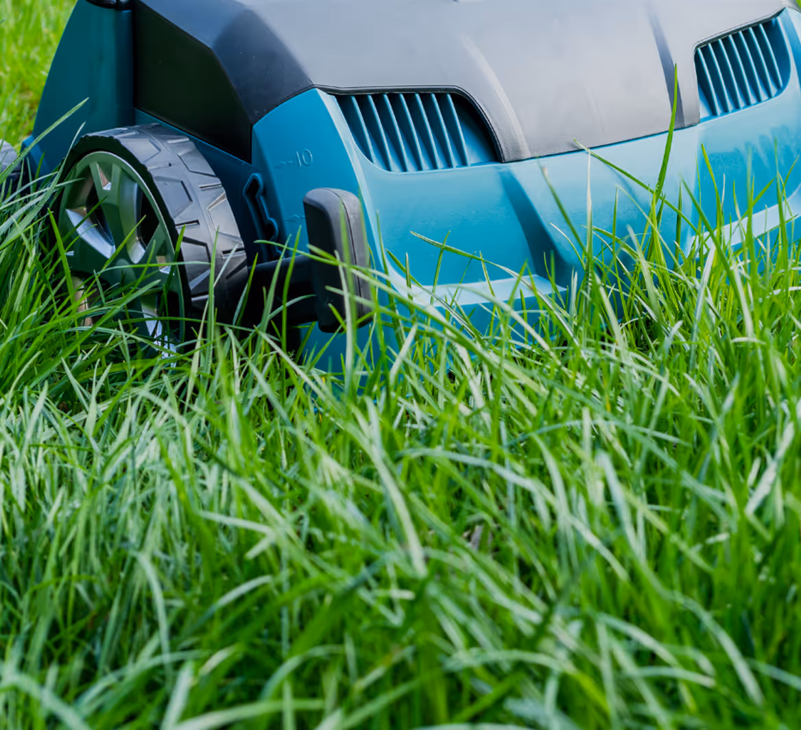 Nahaufnahme eines blauen Rasenmähers im hohen grünen Gras.