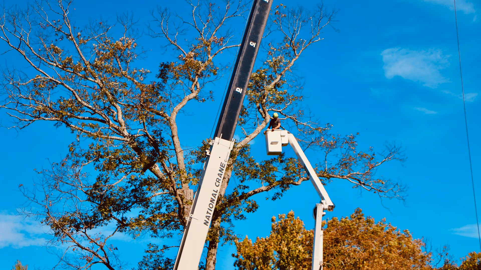 Experienced tree service and land clearing professionals in Hudson Valley NY providing reliable residential and commercial solutions